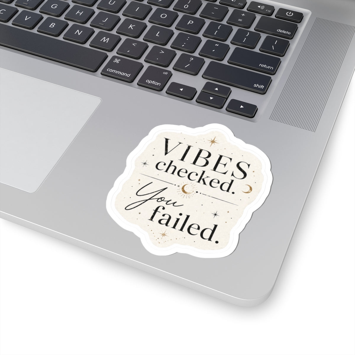 Vibes Checked You Failed