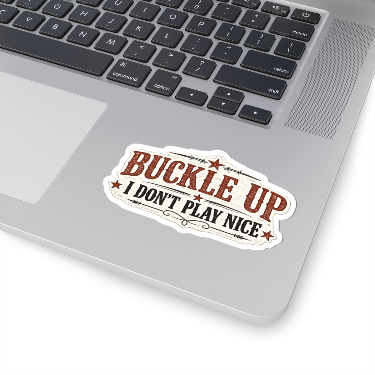 Buckle Up. I Don't Play Nice