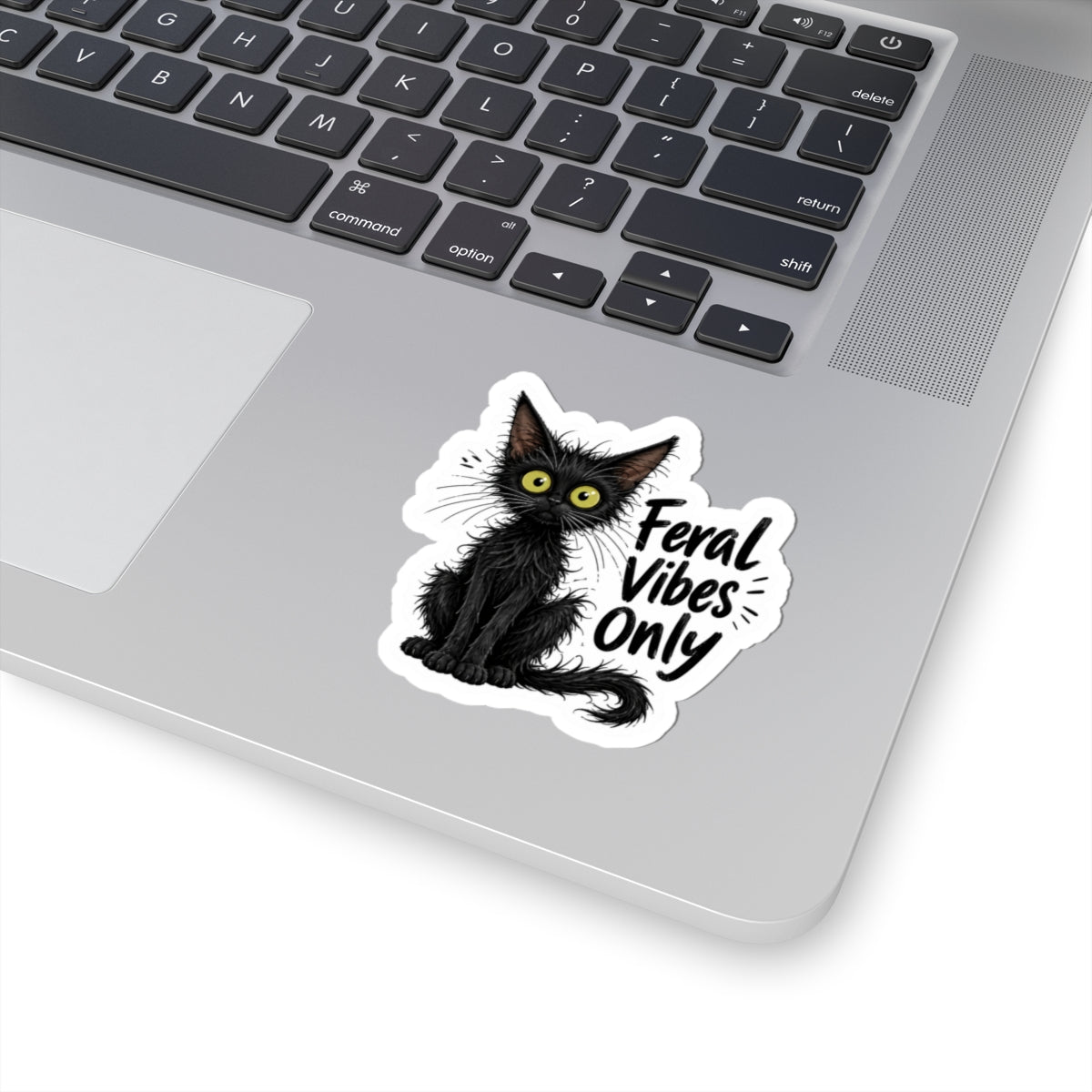 Feral Vibes Only Cat