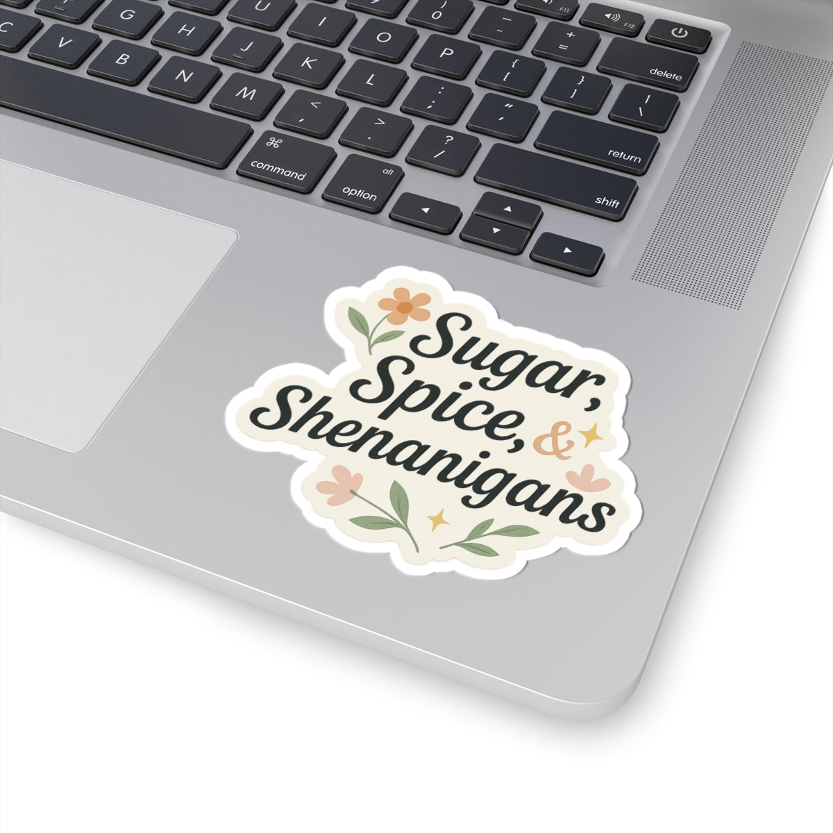 Sugar, Spice & Shenanigans